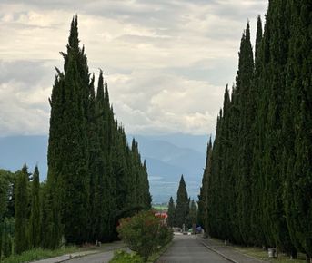 Кахетия по-дворянски — персональное путешествие для вашей компании