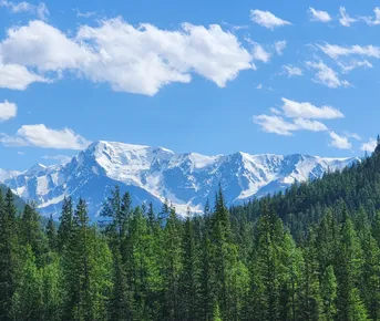 Знакомство с Алтаем. Группа до 6 человек!