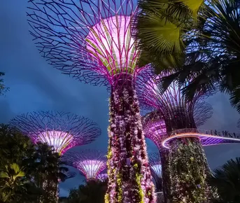 Сингапур и Бали - футуристический город-сад и тропический остров