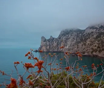 По следам времени: Старый Крым — Судак — Новый Свет