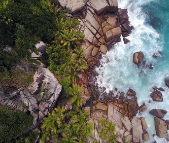 Сейшелы на яхте-катамаране по островам, всё включено