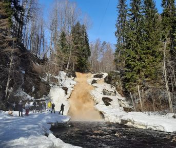 Новогоднее карельское счастье - проживание на берегу Ладоги