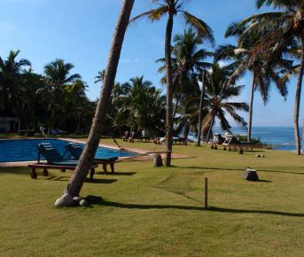 Йога тур в Кералу 22.02-07.03