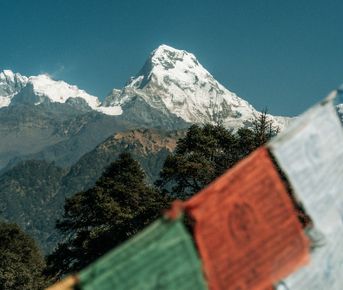 Непал: трекинг в горах, сафари и духовные места