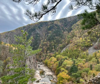 Бархатное Приморье. Полкрая за 10 дней с комфортом.