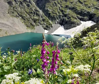 Тайны Уймонской долины