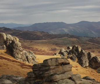 Конный тур Чокпартас - жемчужина Южного Алтая