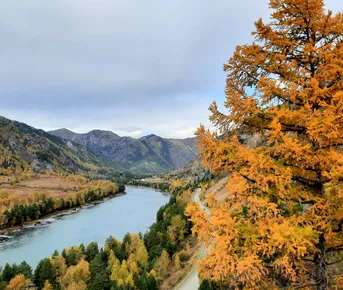 В объятиях Алтая, осенний автотур