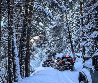 Дикие горы: Off road и конная экспедиция