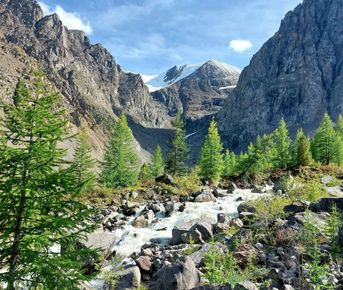 Серебро Алтая, треккинг без рюкзаков к ледникам Актру.