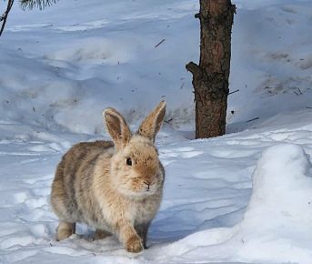 Эко Йога-Weekend. Между силой и расслаблением.