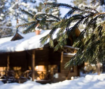 Зимний Йога-Weekend  в Эко отеле