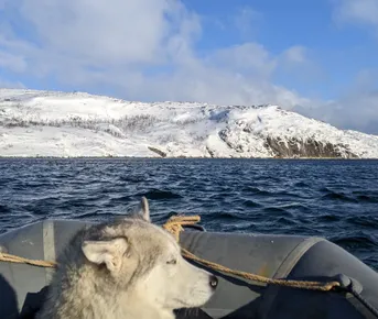 Дикий пляж, скалы и морские обитатели.