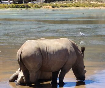 Путь к Мысу Доброй Надежды