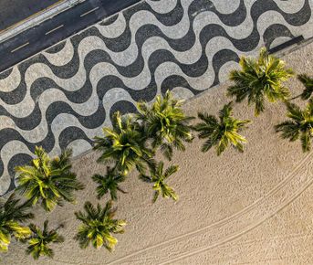 Бразилия в Мини-группе: Рио, Амазония и Игуасу