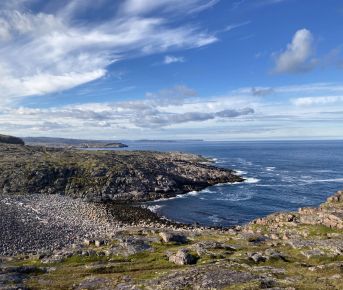 Путешествие в Териберку. Киты и Баренцево море