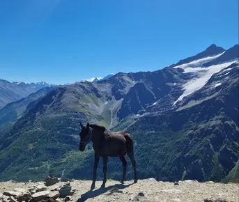 Поход без рюкзаков в Приэльбрусье