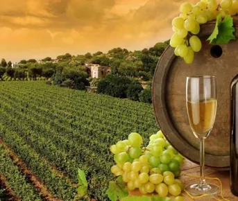 гармония вин и долин