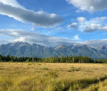 Долина Аршанов: Путешествие к Источнику Силы и Красоты