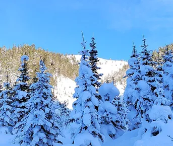 Увлекательное путешествие на Мамай одним днем