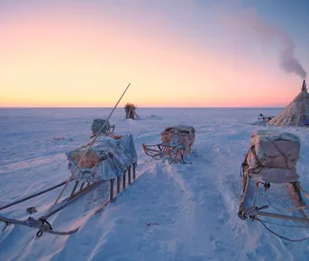 Ямал: экспедиция с профессиональным фотографом в стойбище ненецких оленеводов