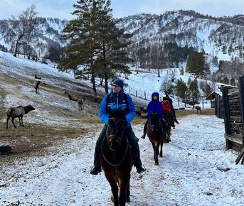 Новогодние Каникулы На Алтае 2026