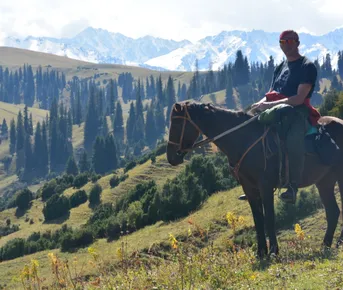 Конный тур для начинающих наездников 7 дней - 6 ночей