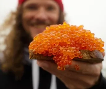 Камчатка: увидеть максимум. Всё включено