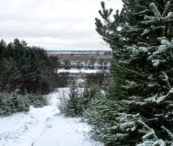 Зимний поход по тропе Паустовского в Солотче