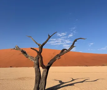 Намибия - земля дюн, пустынь и вечных горизонтов