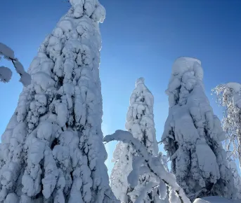Снежные склоны Губахи: горы и драйв