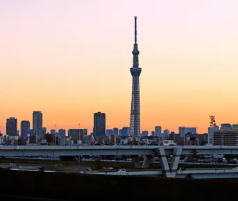 Цветущая Япония вне времени и эпохи