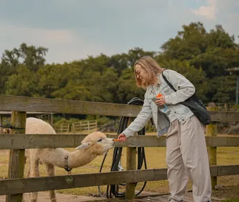 Лето в Корее: Сеул-Пусан-Чеджу
