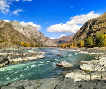 Дивный, Сказочный Алтай. Вариант проживания - Стандарт