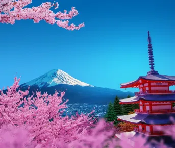 Япония: цветение сакуры. Тур-разведка.