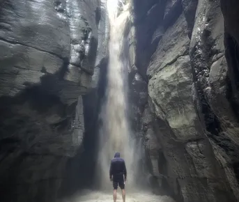 Аромат Индианы Джонса