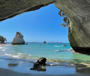 Новая Зеландия: туда и обратно