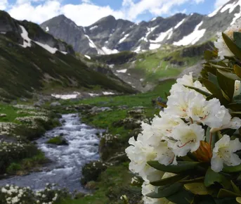 Поход с Комфортом по Архызу