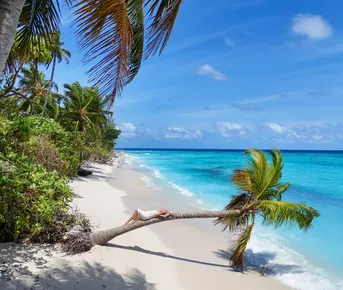 Йога ретрит на Мальдивах