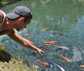 Сингапур-Бали: Гармония современности и экзотики.