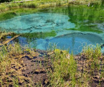 Алтай. Земля Духов И Величия Гор 5 дней