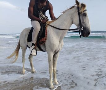 Берег Слоновой Кости: Культурная одиссея на 7 дней по Кот-д Ивуару