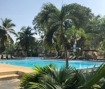 Берег Слоновой Кости: Культурная одиссея на 7 дней по Кот-д Ивуару