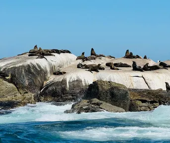 Юар. Кейптаун