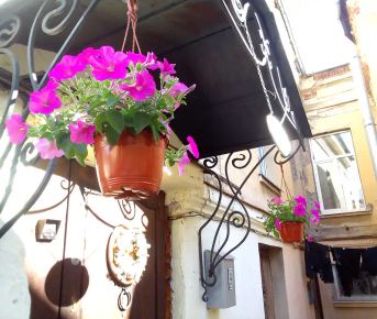 Быт богатых горожан 19века