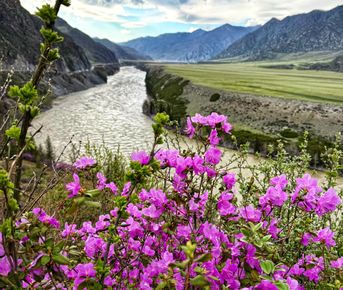 Весеннее волшебство Алтая. Все самое лучшее за 6 дней.