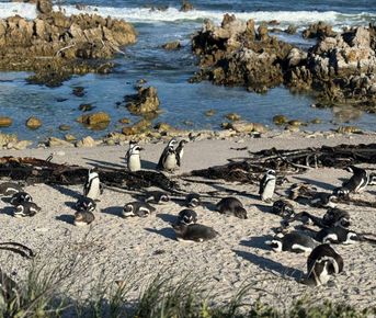 Юар: приключения на краю континента