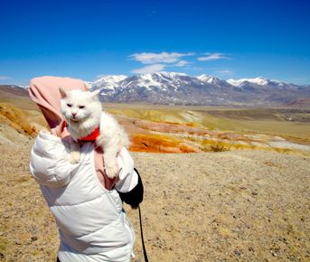 Путешествие к тайнам Горного Алтая