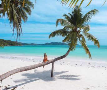 Под парусами за поиском сокровищ на Сейшелах