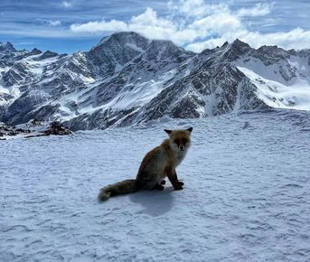 Чудеса Кавказа - новогодние каникулы в Приэльбрусье!